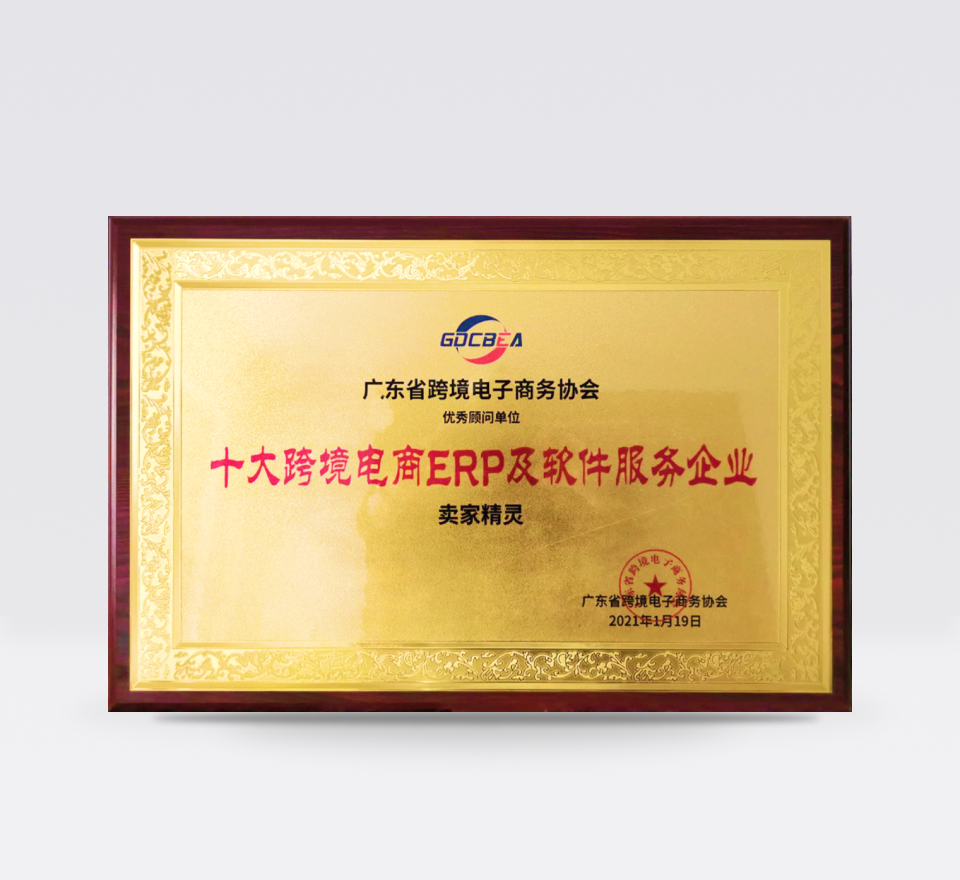 <p>十大跨境电商ERP及软件服务奖</p>
