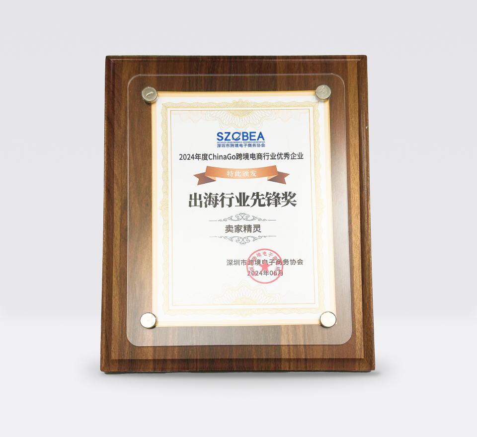 <p>2024出海行业先锋</p>