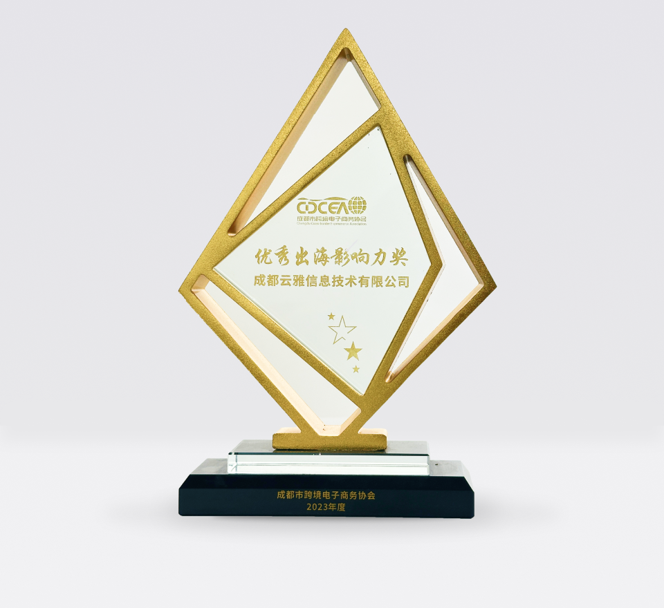 <p>2023优秀出海影响力</p>