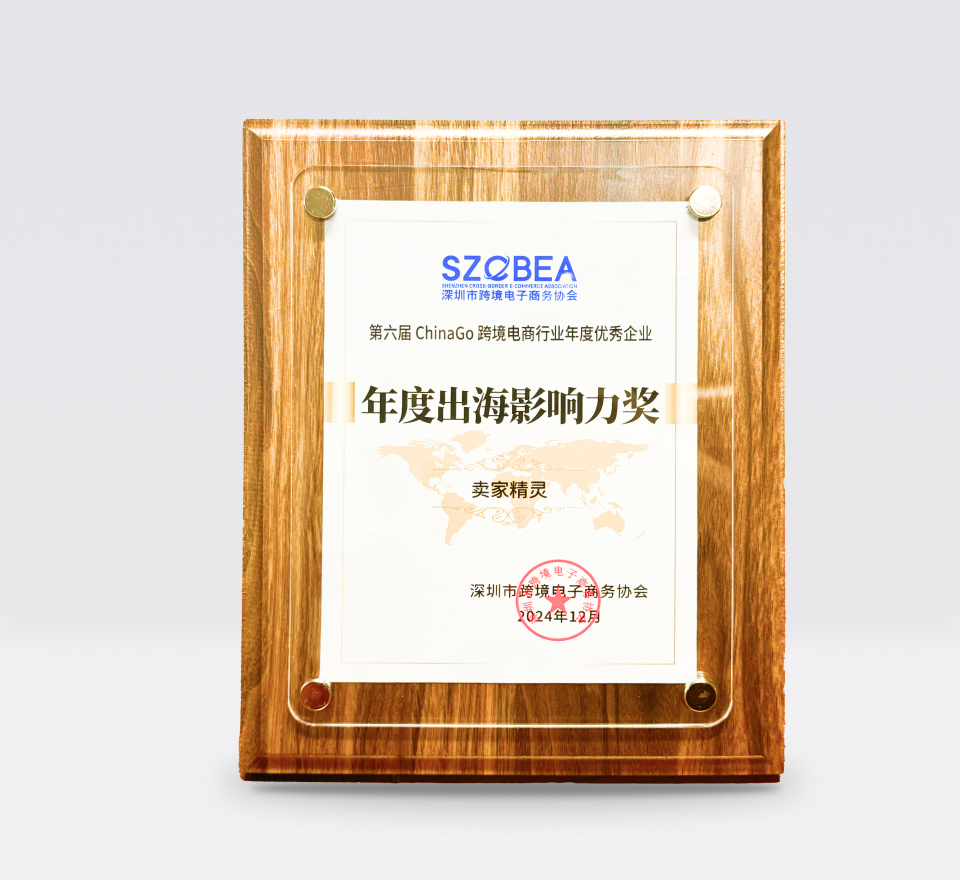 2024年度出海影响力奖