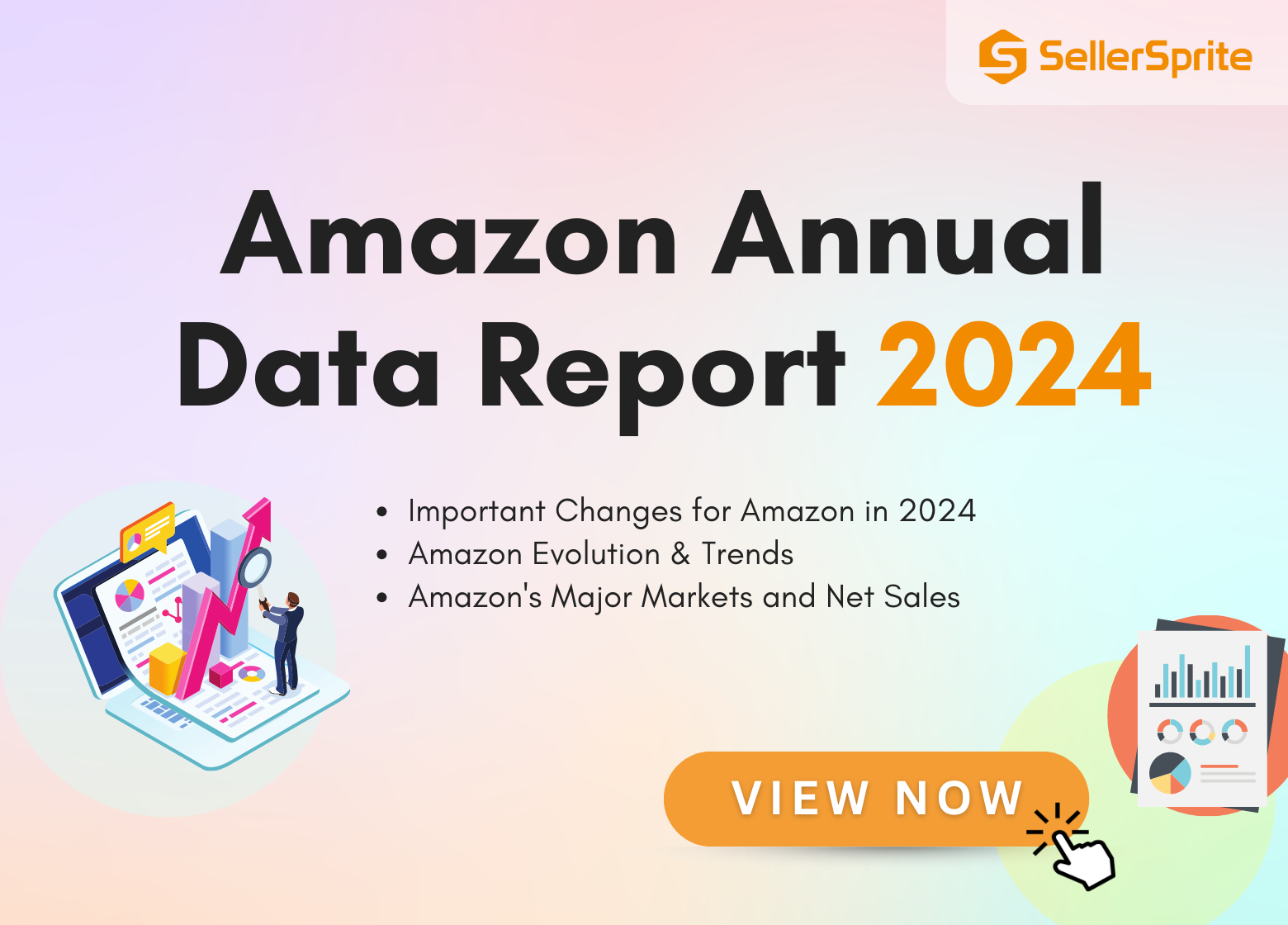  Amazon 2024 Data Annual Report by SellerSprite