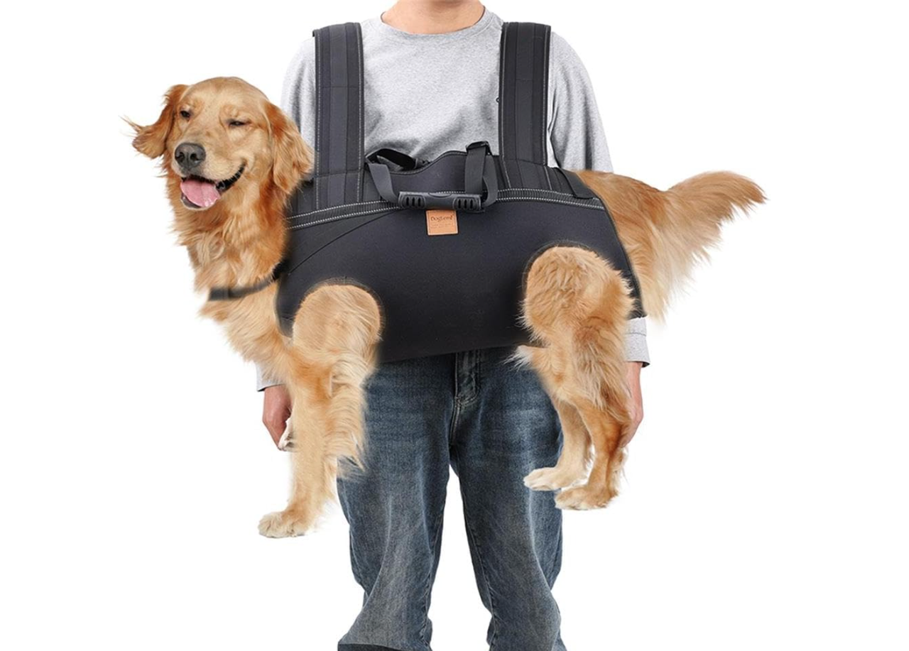 A photo of a dog emergency carry sling