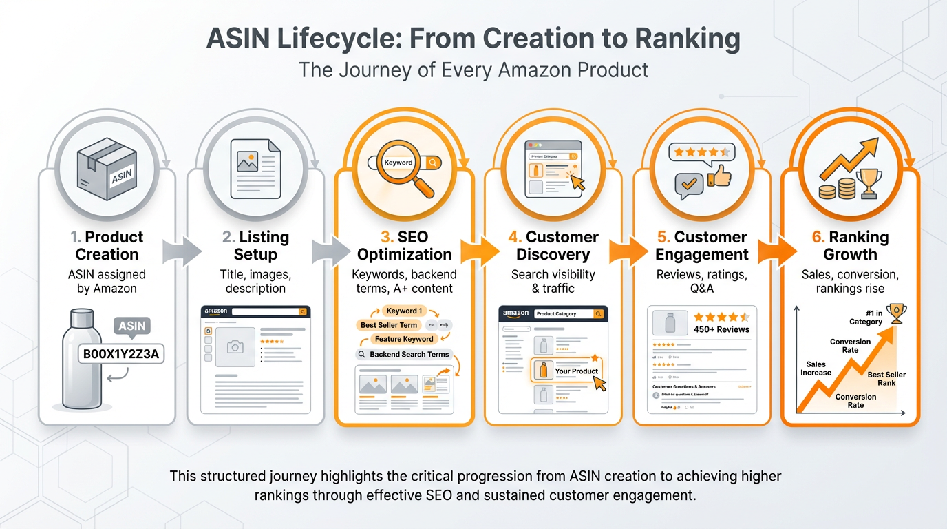 Infographic showing ASIN lifecycle from creation to ranking