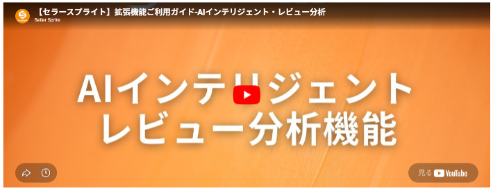 AIレビュー分析ご利用ガイドの参考画像
