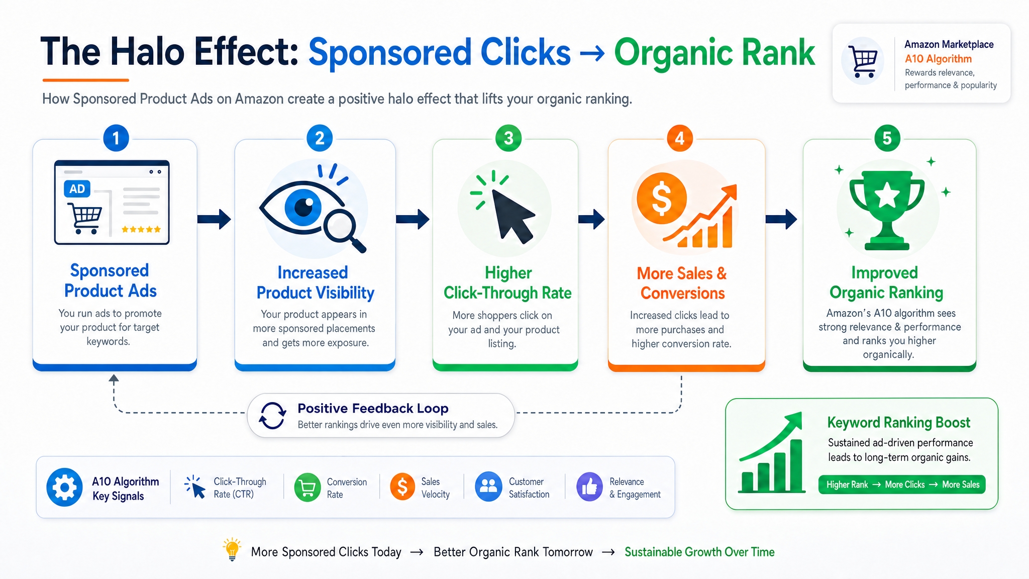 Diagram of sponsored ad clicks improving organic keyword rank on Amazon.