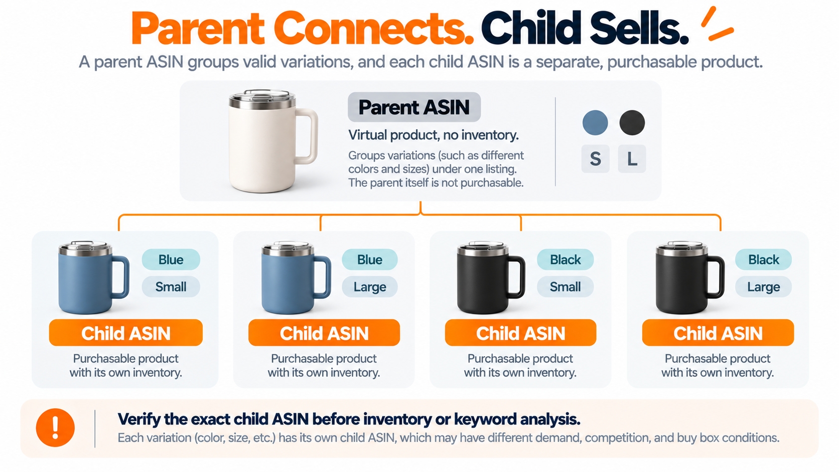 Amazon parent ASIN shown as a non-buyable grouping node above four purchasable child ASINs for valid size and color combinations.